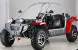 300CC Go Kart/Dune Buggy (FPG300E)