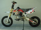 140CC Motocross With Chrome Frame (WBL-802)