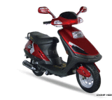 Gas Scooter (QLM125T-5)