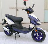 EEC Scooter (50QT-6)