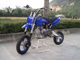 Dirt Bike (QIPAI 125CC)