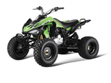 250CC ATV (GBTA74-250)