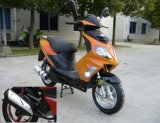 EEC Gas Scooters (RY50QT-8A)