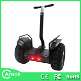 China Gold Supplier 2 Wheel Balancing Scooter
