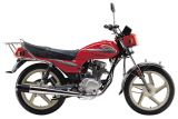 Motorcycle (QJ125-F)