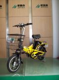 Electric Bike (TDR07178)