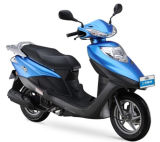 Sanyou Holding Group 125cc-150cc Asia Market Scooter Xj