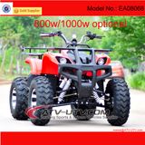 Adult Electric Quad Bike