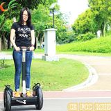 Wholesales Standing Balancing Battery Electric Scooter