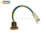 Ww-8811 CD70 Motorcycle Part, Lamp Holder, Motorcycle Light Socket