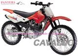 Dirt Bike (XRA125/150)