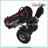 Two Wheel Standing Chariot Self Balance Electric Mini Scooter