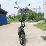 Electric Scooter with EEC (CS-E8003)