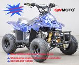 50cc 110cc Mini Quad Bike ATV for Kids CE