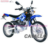 Dirtbike(XRA125-EEC)