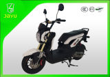 4-Stroke 50cc Gas Scooters (Rider-50)