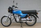 Bajaj Motorcycle (GW100/GW125)