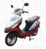 Electric Scooter DL010