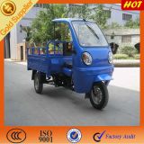 3 Wheeler Tricke for ABS Canopy