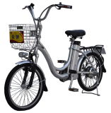 Zhongchi Hot Sell E Electric Bike with 350W Brushless Motor (TDR-62Z)