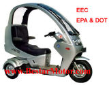 150CC Three Wheel Scooter/Moped EEC/EPA (150ZK)