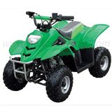 50cc EPA / DOT ATV (ATV50-1)