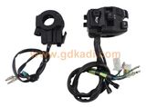 Eco 100 Handle Switches Motorcycle Parts