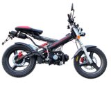 Motorcycle (SY100-DL/daolang)
