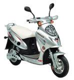Electric Scooter (TJDM500-05)