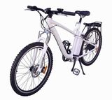 Folding Electric Bicycle