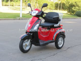 High Quality OEM Electric Trikes 10 Inch for Disabled People