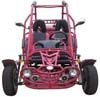 Go Kart 150cc with EEC