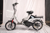 Electric Bicycle (CTM-105)