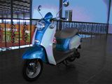 Electric Scooter (1200W, B-13)