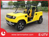 Electric Buggy