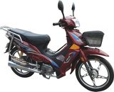 Motorcycle (GW110-13)