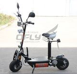 New Foldable 800W Electric Scooter Es8002