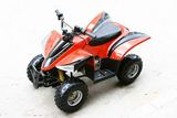 EPA Approved ATV (YA110-3)