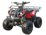 125cc EPA Quad (ATV-3125B)