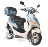 50cc Gas Scooter (MT50QT-13)