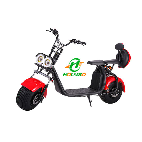 EEC&Coc Authentication Adult Two Wheel 2000W Halley Electric Scooter